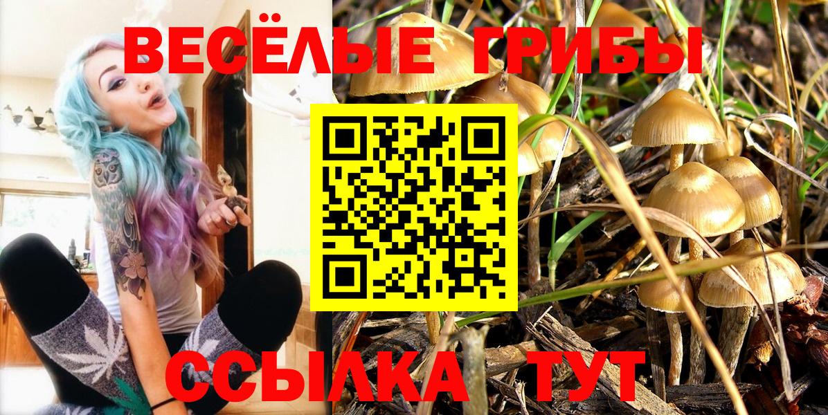 Галлюциногенные грибы прущие грибы Канаш